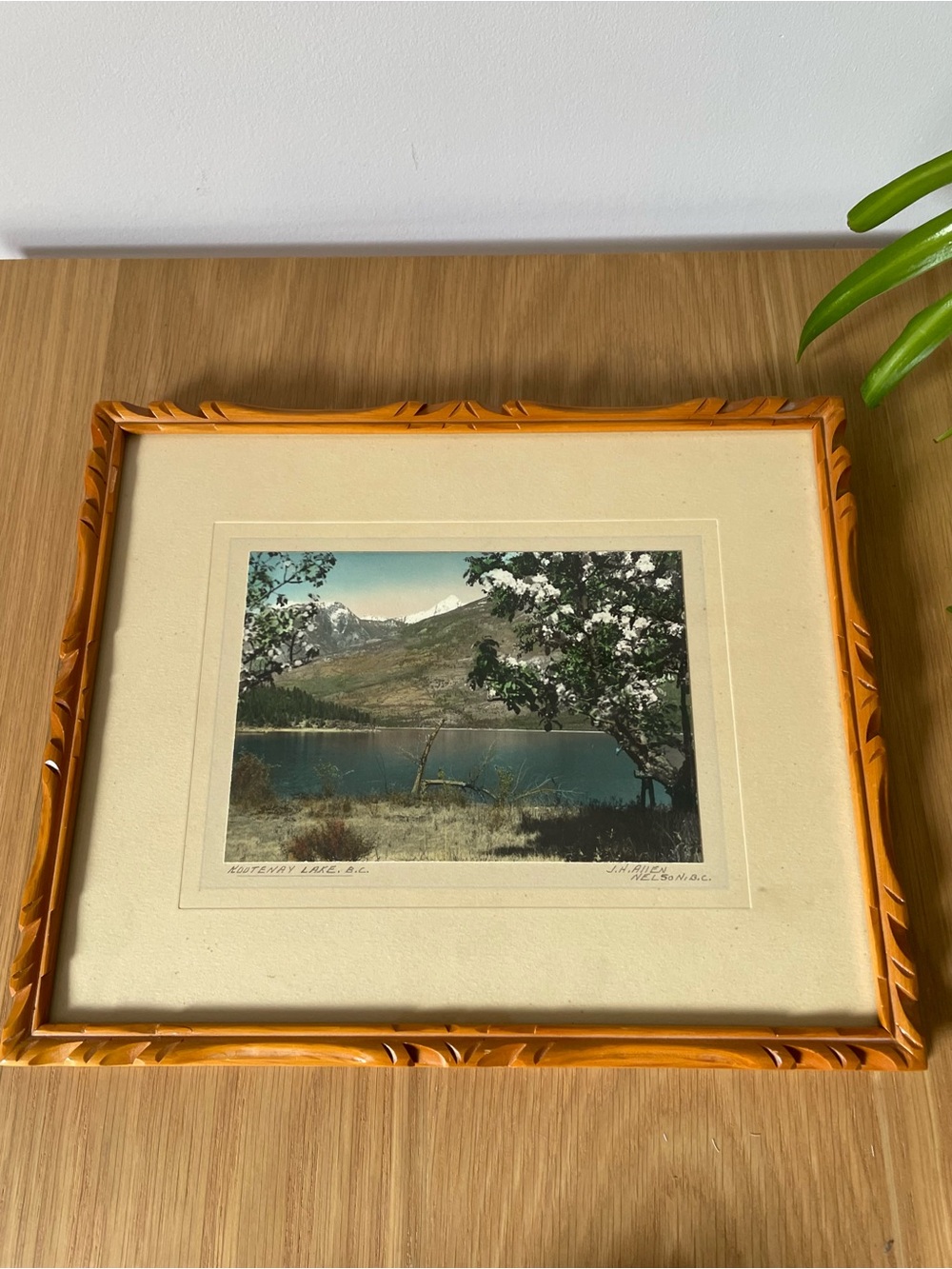 Vintage Hand-Tinted J.H. Allen Scenic Photograph in Carved Wood Frame Signed